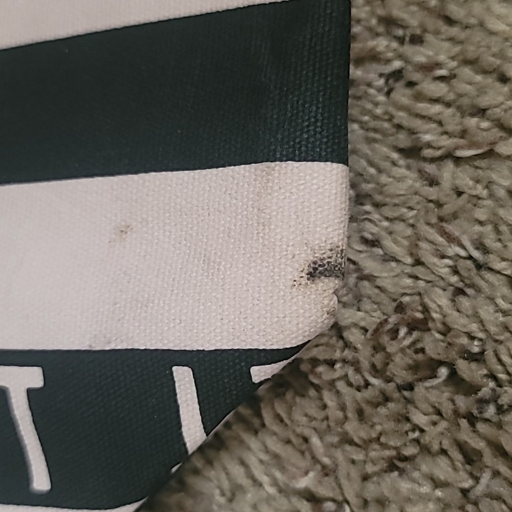 Victoria's Secret Striped Bag - Picture 4 of 4